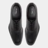Debonair Oxford shoe