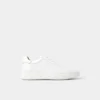 Toddy Low top sneaker Toddy Low top sneaker