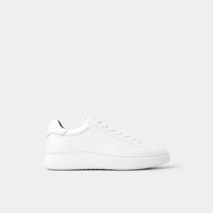 Toddy Low top sneaker Toddy Low top sneaker
