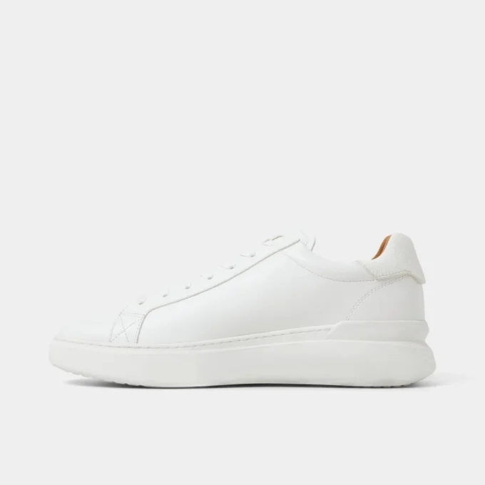 Toddy Low top sneaker Toddy Low top sneaker