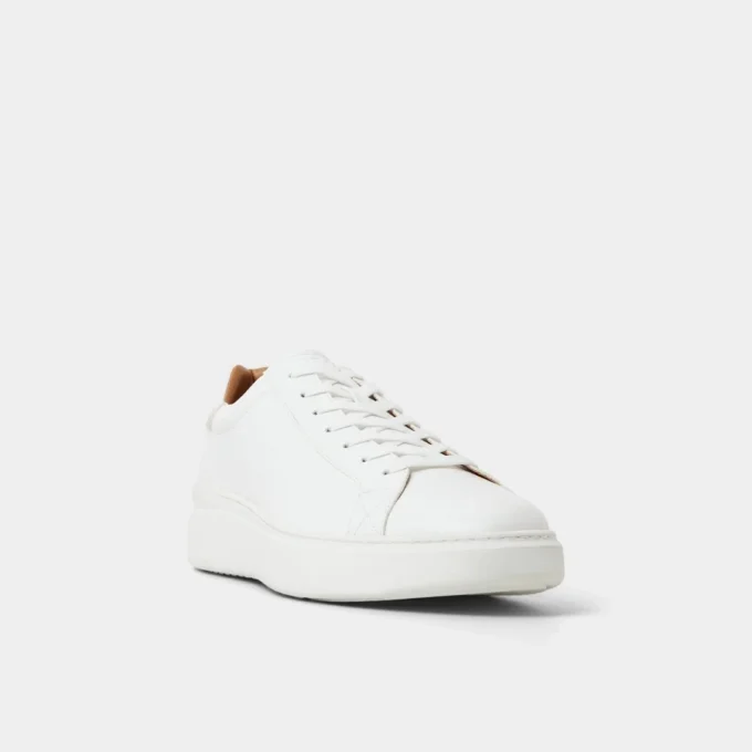 Toddy Low top sneaker Toddy Low top sneaker