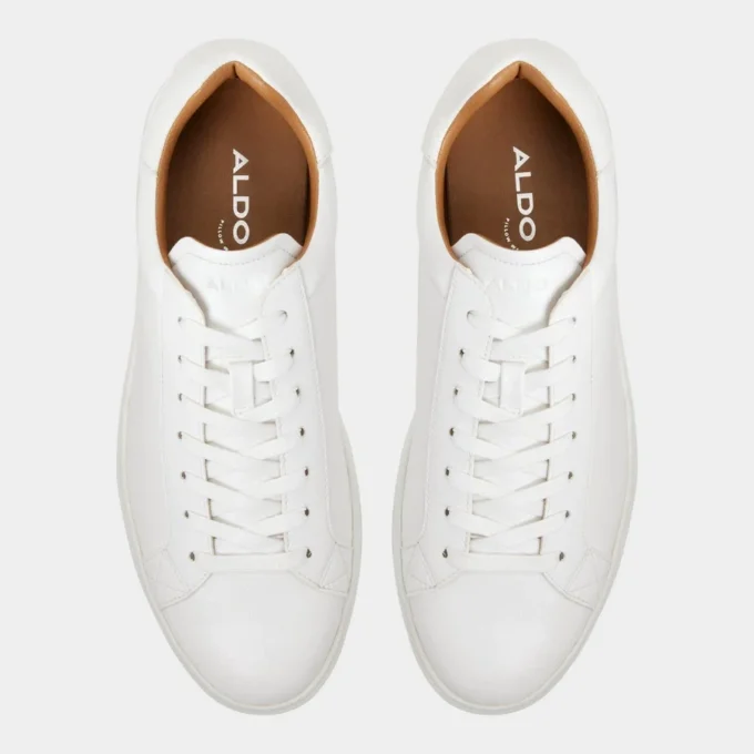 Toddy Low top sneaker Toddy Low top sneaker